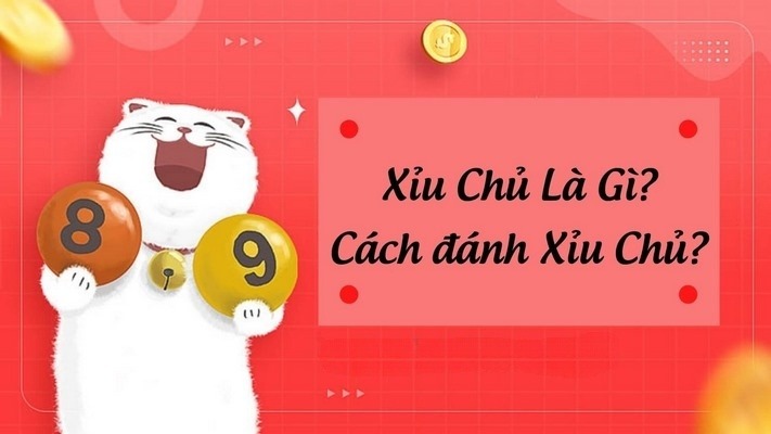 Cách chơi Xỉu Chủ hiệu quả