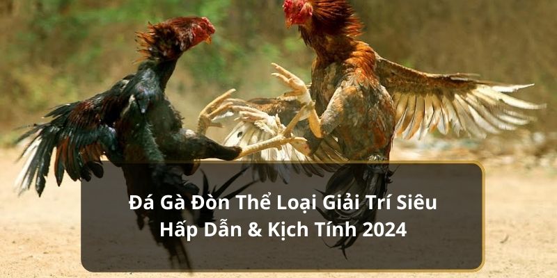 Hình thức đá gà đòn được đón chờ 2024