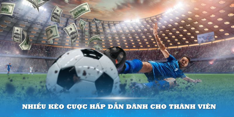 Sảnh game cung cấp nhiều kèo cược hấp dẫn dành cho thành viên lựa chọn